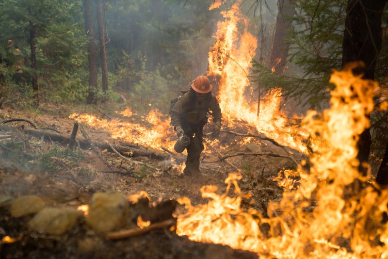 Firefighters work to contain The Mosquito Fire on September 15, 2022 in Ramsey Crossing, California.