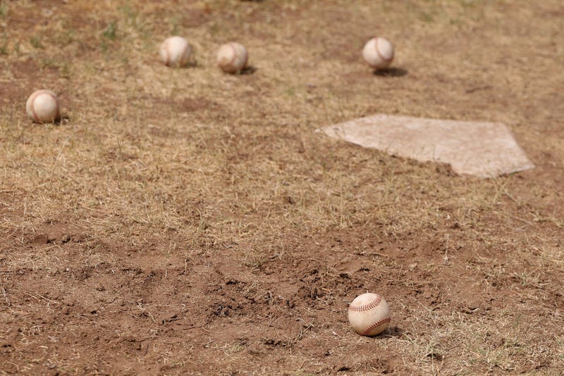 Spring Training Baseballs