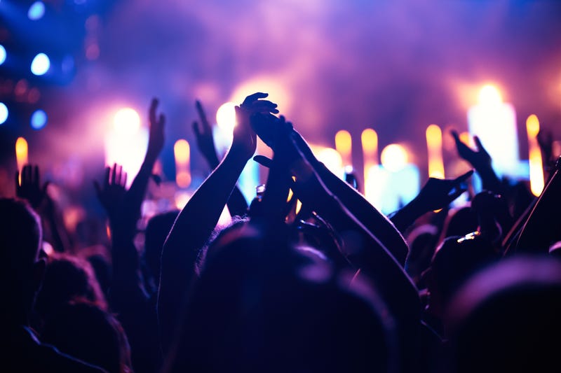 Concert crowd