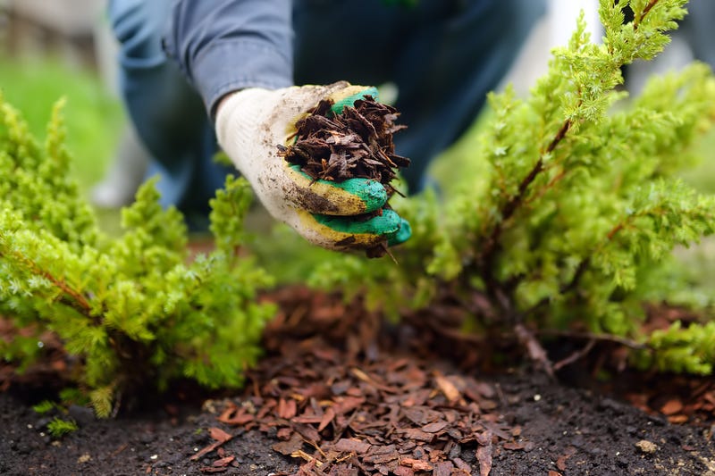 Gardening