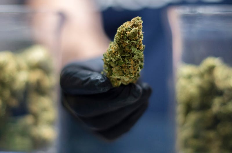 Weed