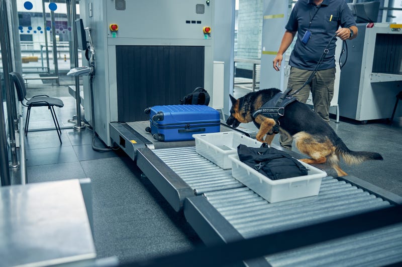TSA employee sentenced for drug smuggling at LAX