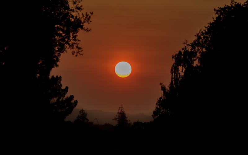 Unhealthy air quality during the CZU Lightning Complex fires.
