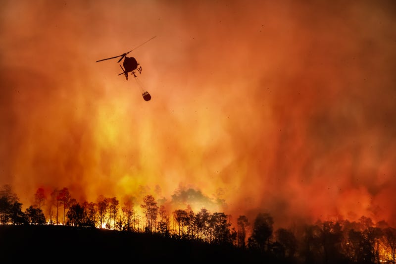 Wildfire