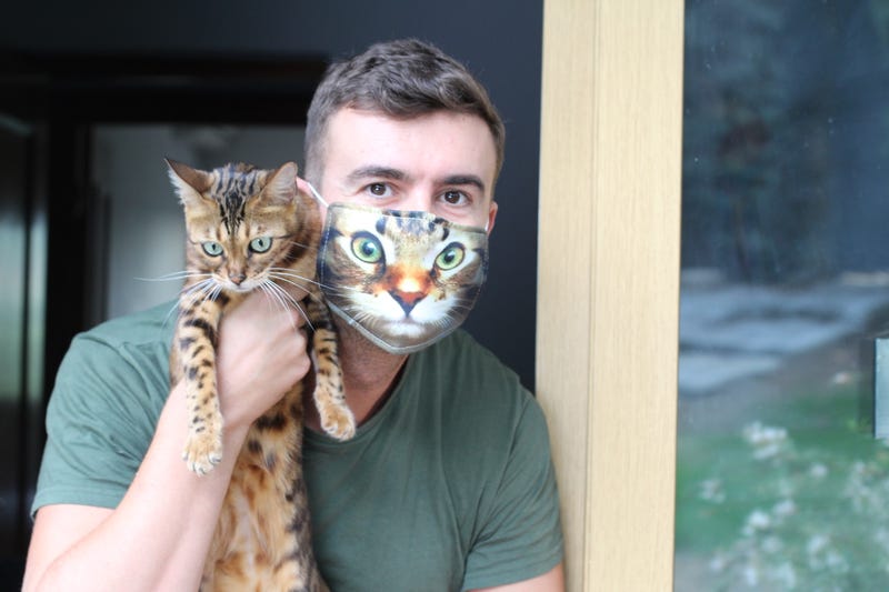 Cats