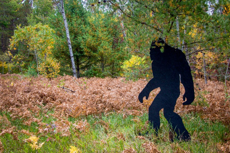Sasquatch silhouette