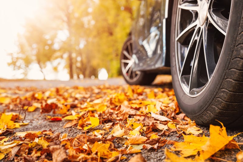Car and leaves