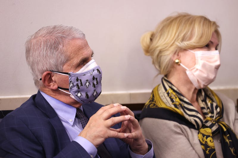 Dr. Anthony Fauci and Dr. Deborah Birx