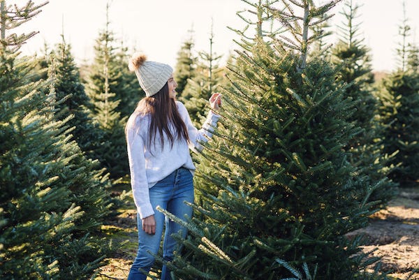 Woman shopping for a Christmas tree