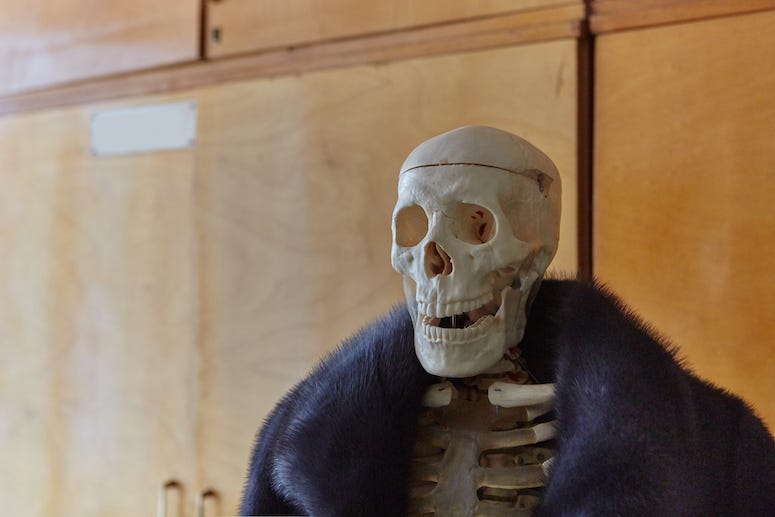 Skeleton in a fur coat