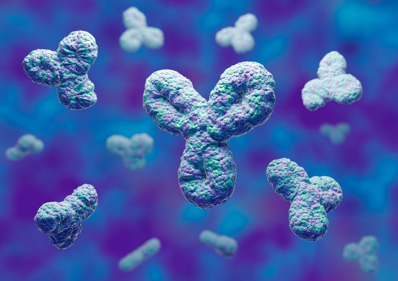 Having a high level of antibodies does not necessarily protect a person from contracting COVID-19 or severe disease.