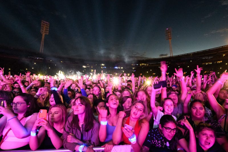 Concert crowd
