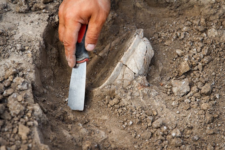 Paleontologist.