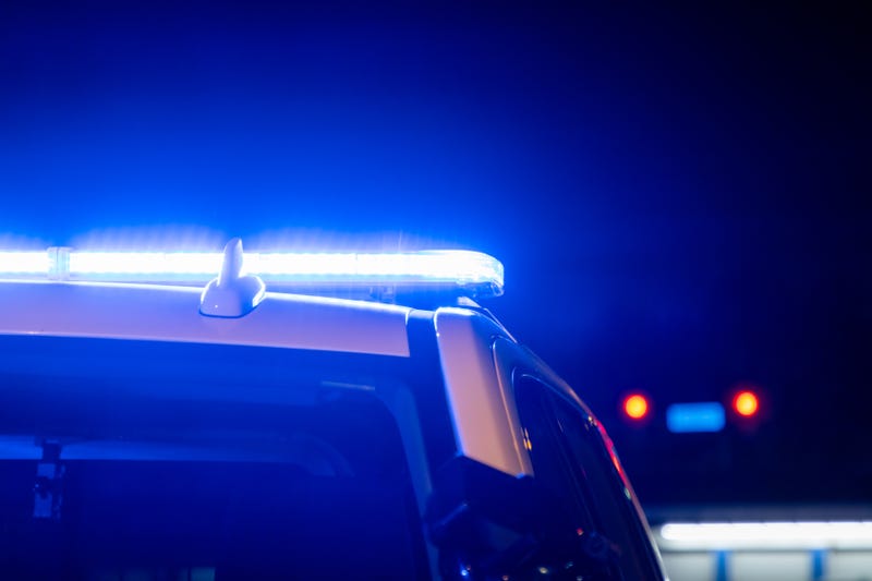 Dolton police
