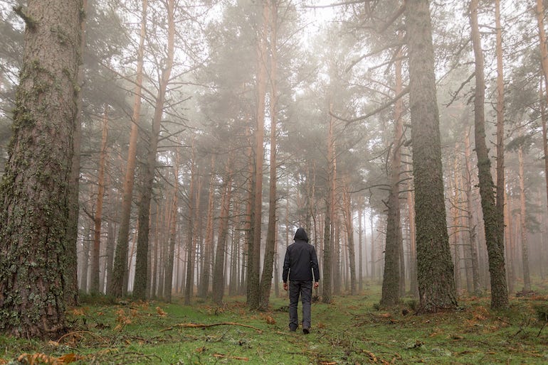 Man walking in the woods