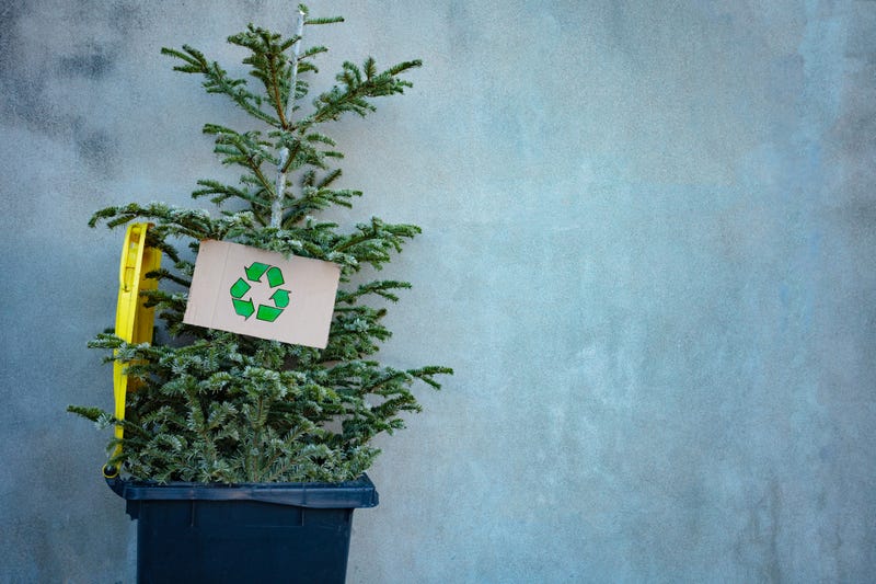 recycle Christmas tree