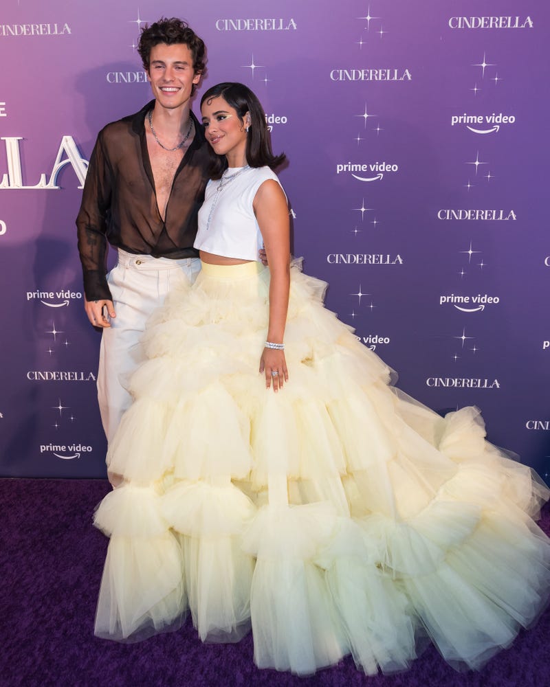 Shawn Mendes, Camila Cabello