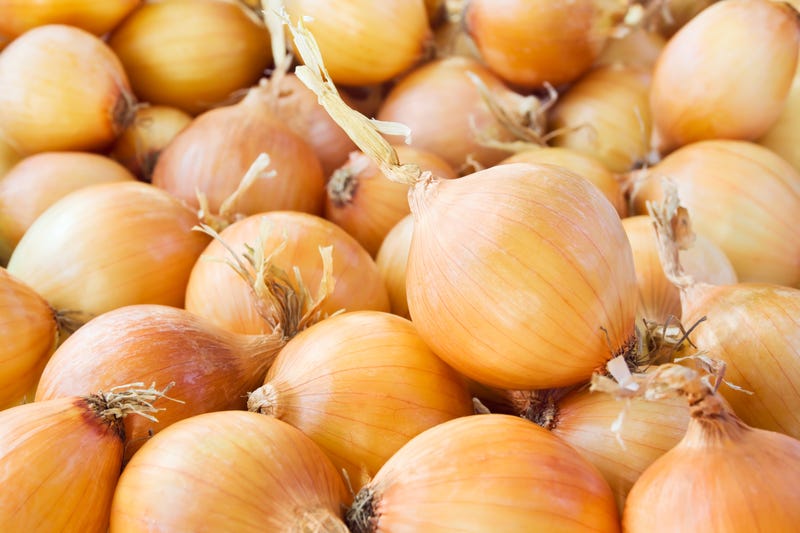 Bunch of fresh onions.