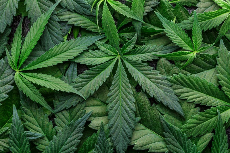 The Missouri Supreme Court on Tuesday refused to take up a lawsuit challenging a ballot proposal to legalize recreational marijuana use in the state.