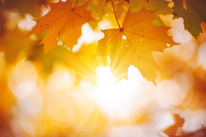 Autumn