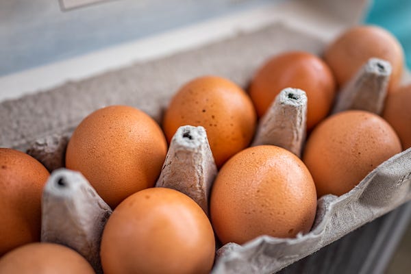 Dozen eggs in a carton