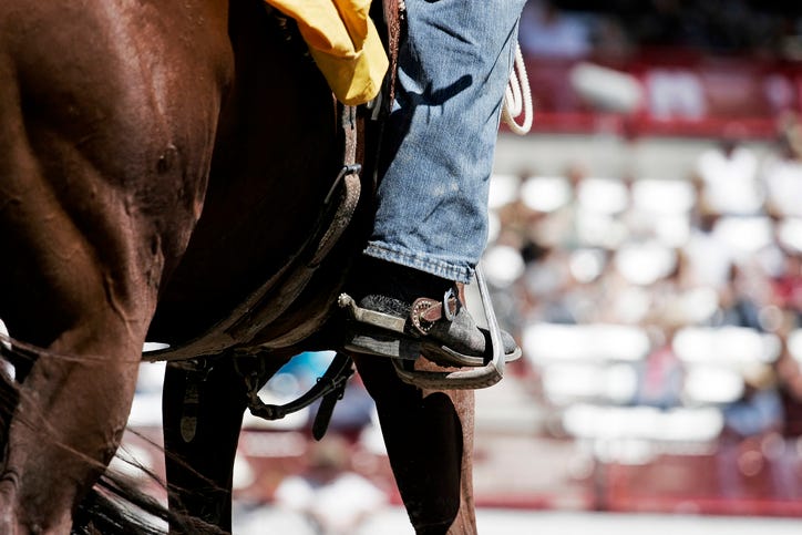 Horse, Boots, & Spurs (shallow focus)