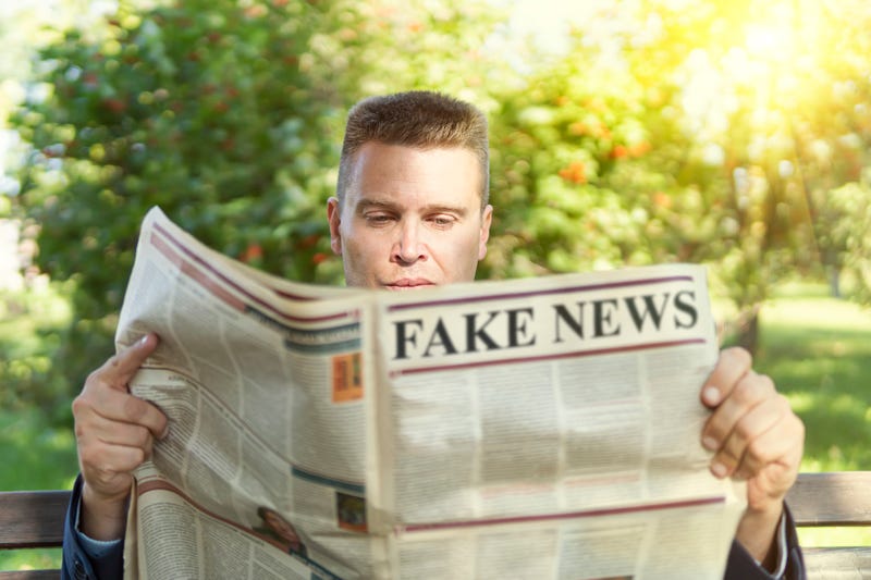 Disinformation Funding