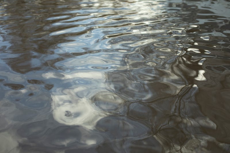 pond