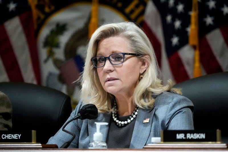 Rep. Liz Cheney (R-WY) speaks during a Select Committee to Investigate the January 6th Attack on the U.S. Capitol business meeting on Capitol Hill March 28, 2022 in Washington, D,C.