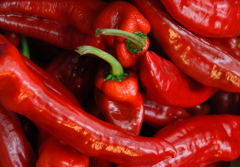 Red Chilli