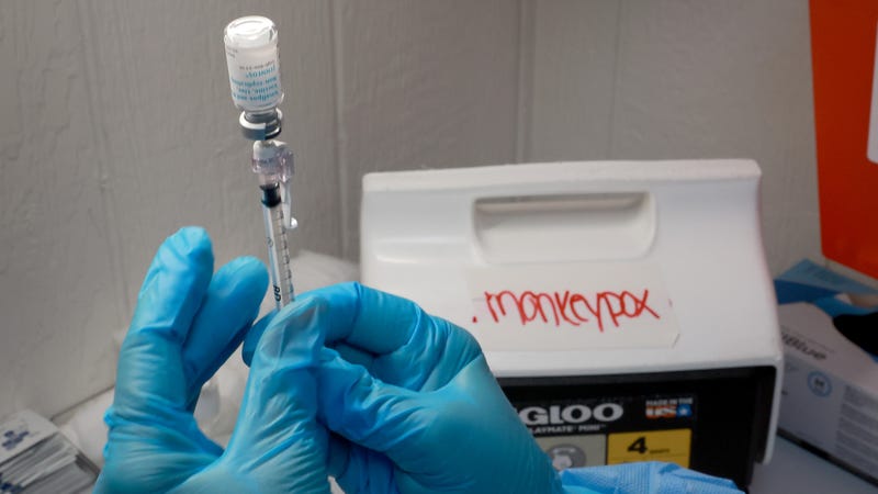 A monkeypox vaccine.