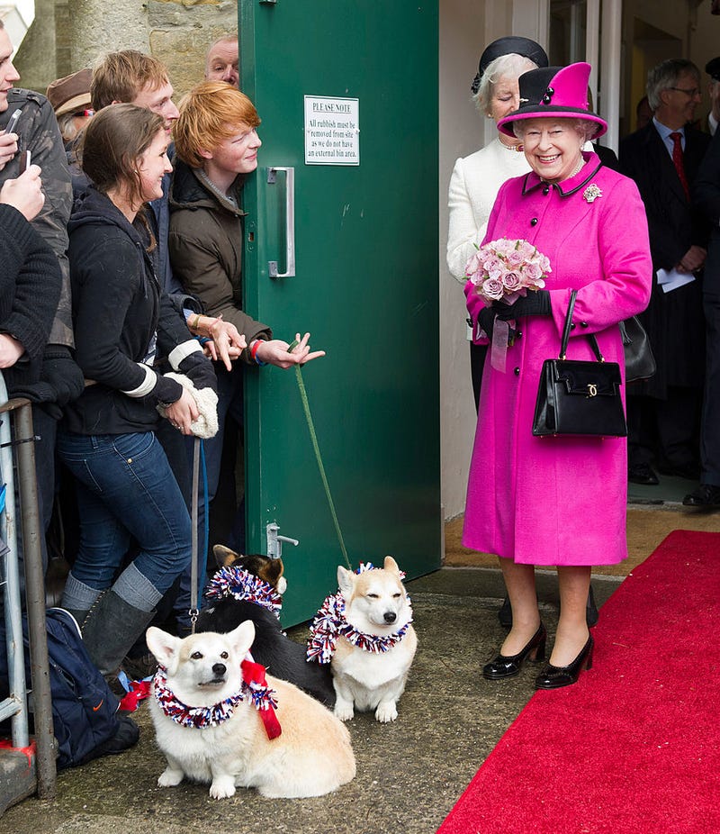 Queen Elizabeth with dogs