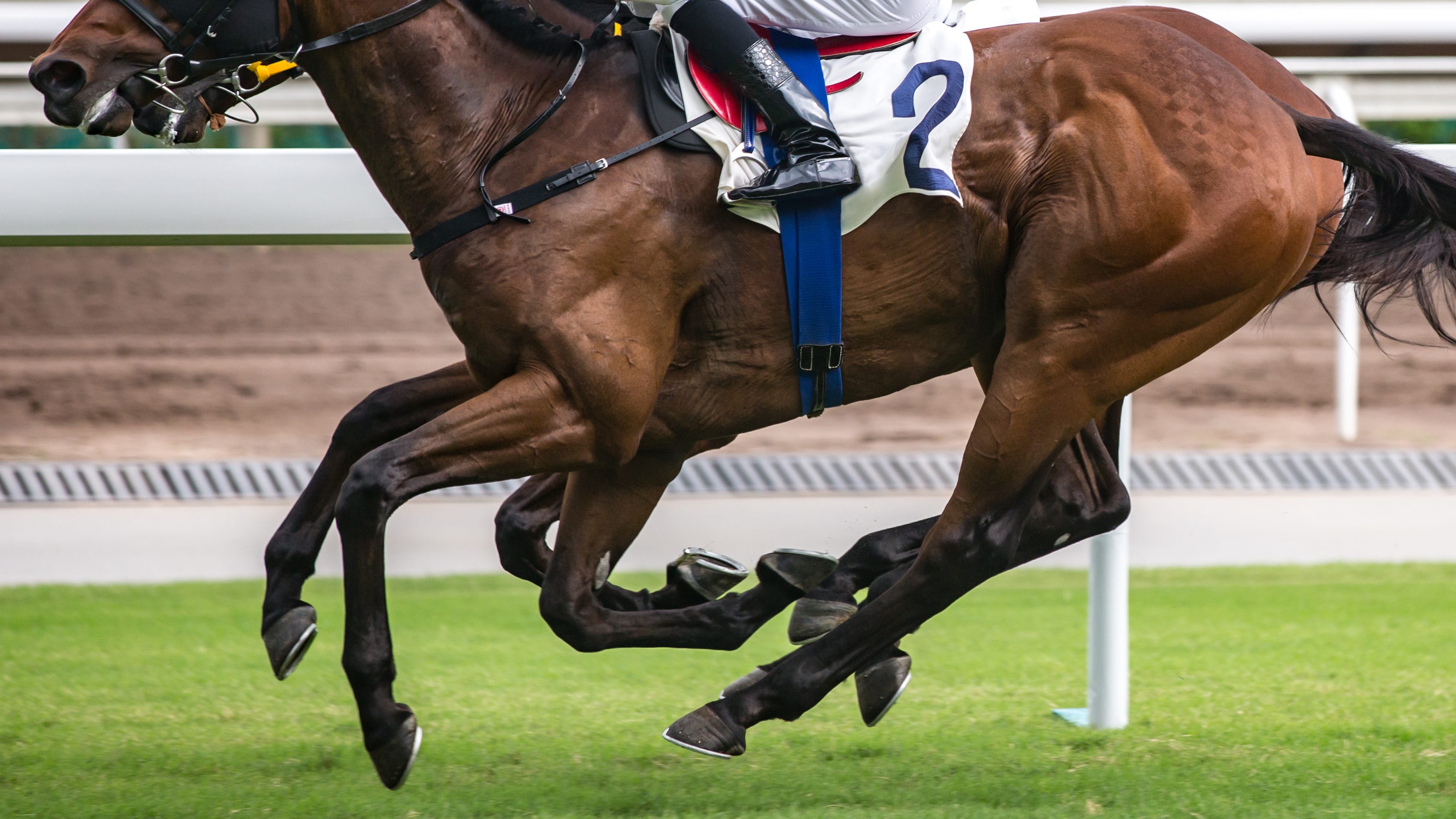 Los Alamitos Thoroughbred Results - bomehls