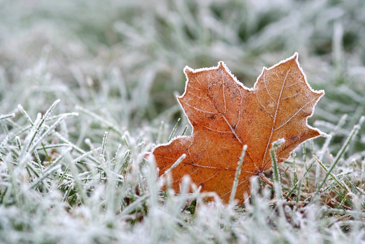 fall frost