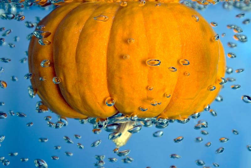 pumpkin floating in water