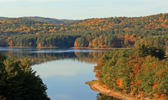 Connecticut Fall Foliage