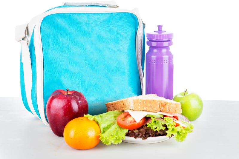 school lunchbox lunchbag with food sandwich fruits and water bottle