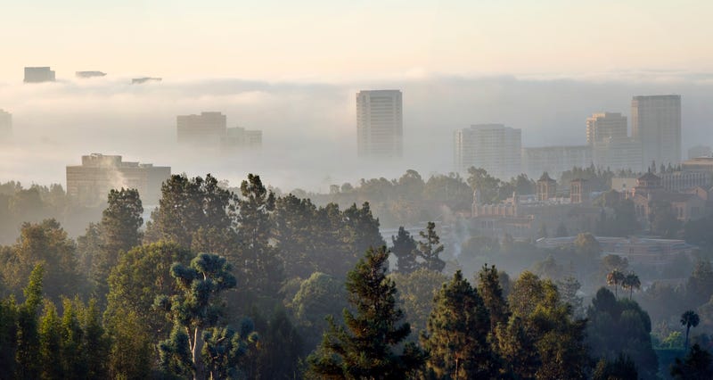 Wide angle view of Westwood Village and the University of California Los Angeles on a foggy gray summer morning.