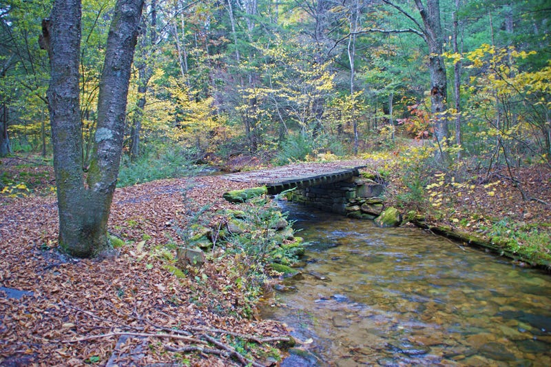 state park trail