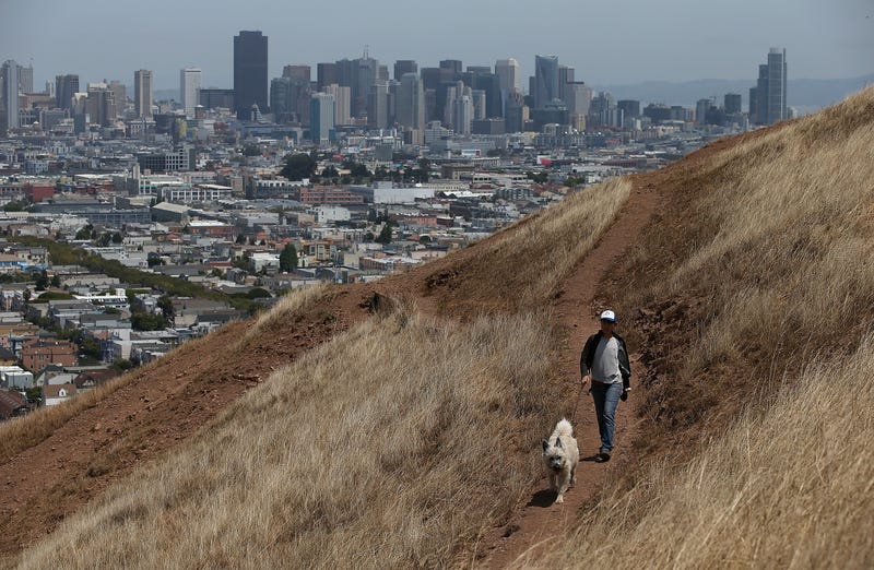 A woman walks her dog walker on a dried section of Bernal Heights Park on July 16, 2014 in San Francisco, California.