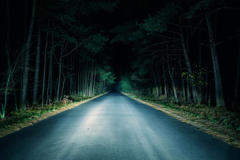 Driving through woods at night