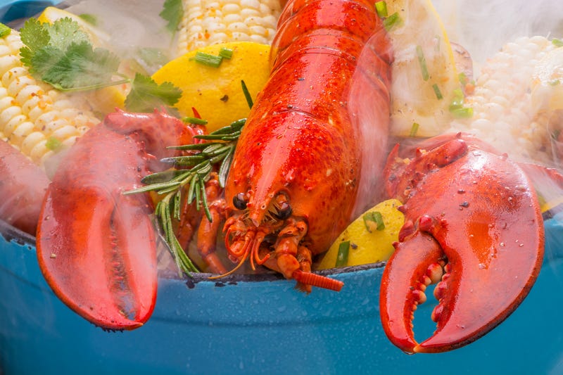 steamed lobster and vegetables