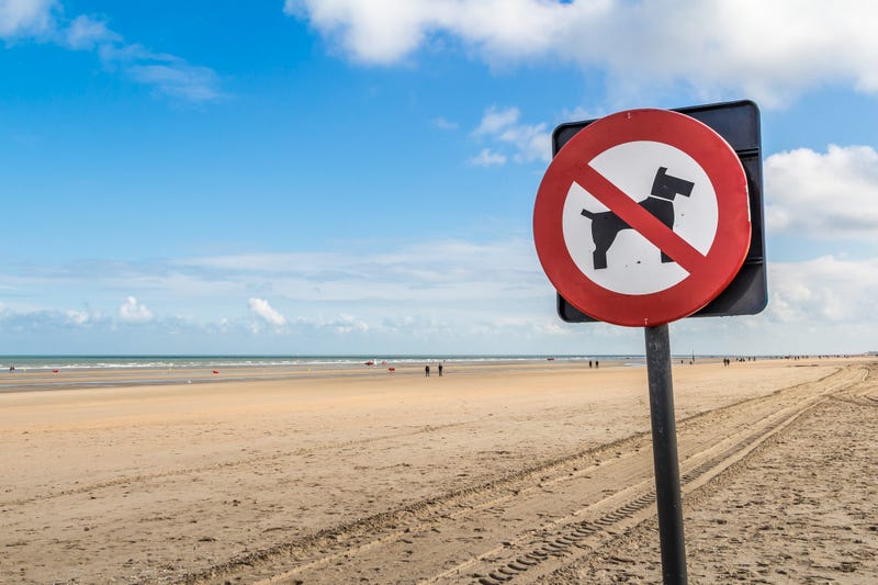 No Dogs Allowed sign on Beach