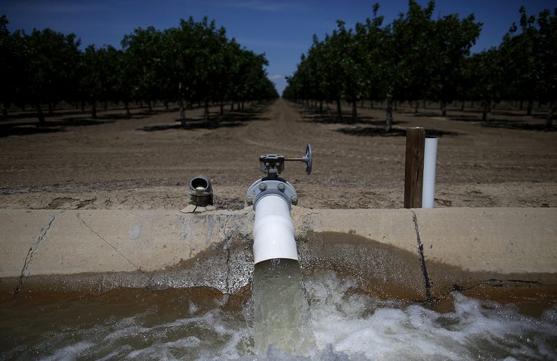 Water is pumped into an irrigation canal at an almond orchard on April 24, 2015 in Firebaugh, California.