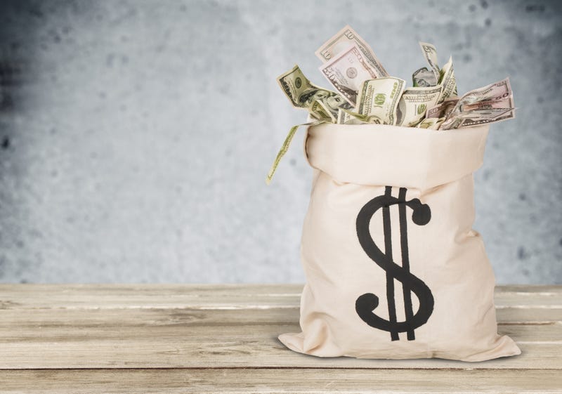 bolsa de dinero