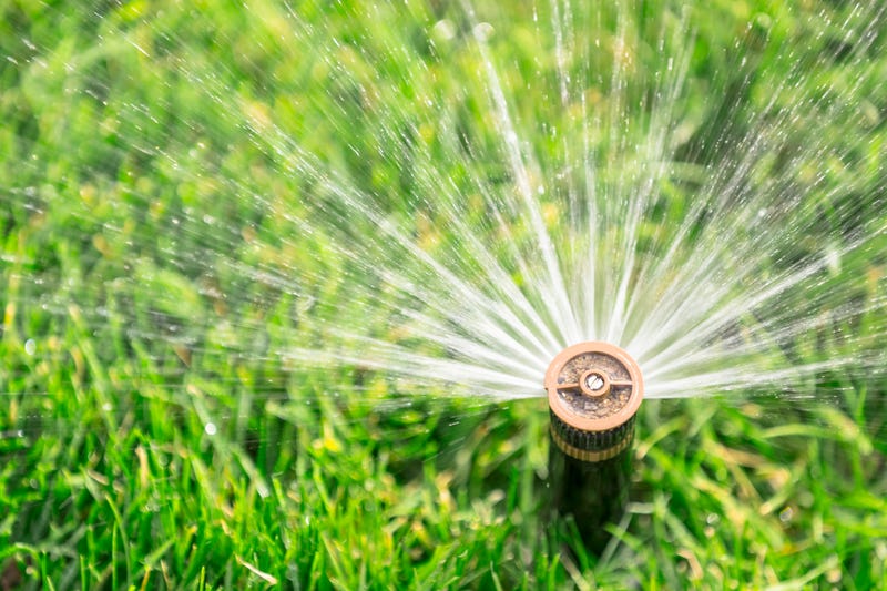 sprinkler