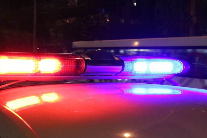 A close-up photo of police lights by night