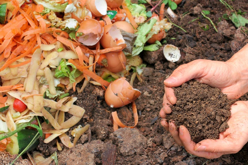 Someone picks up a handful of dirt beside scattered food scraps