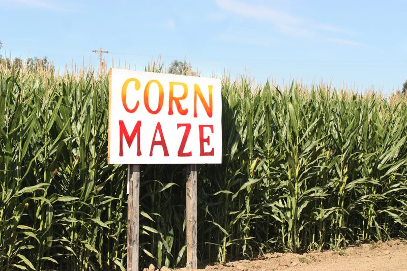 corn maze sign