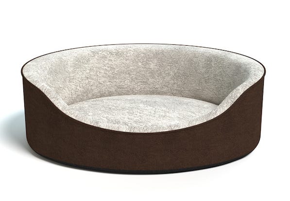 Dog bed isolated against white background